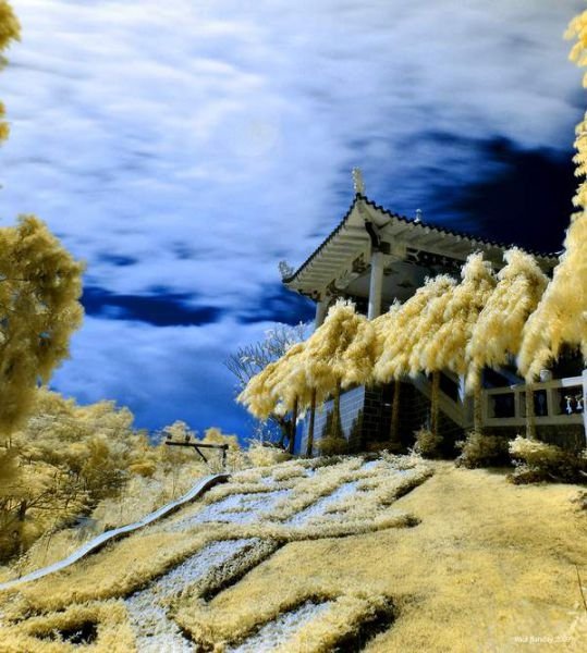 infrared photography