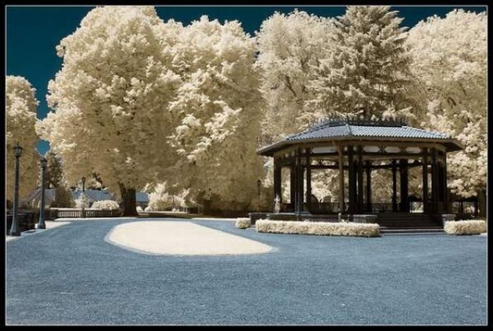infrared photography