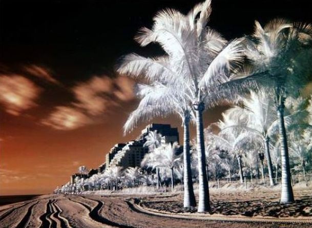 infrared photography