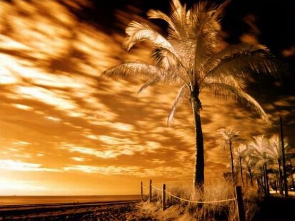 infrared photography