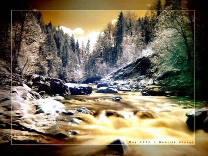 infrared photography