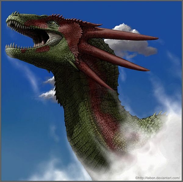 dragon drawing