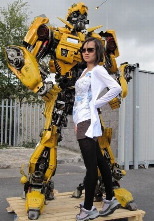 Bumblebee transformer