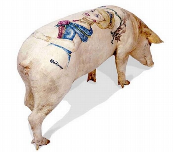 Tattooing pigs by Wim Delvoye