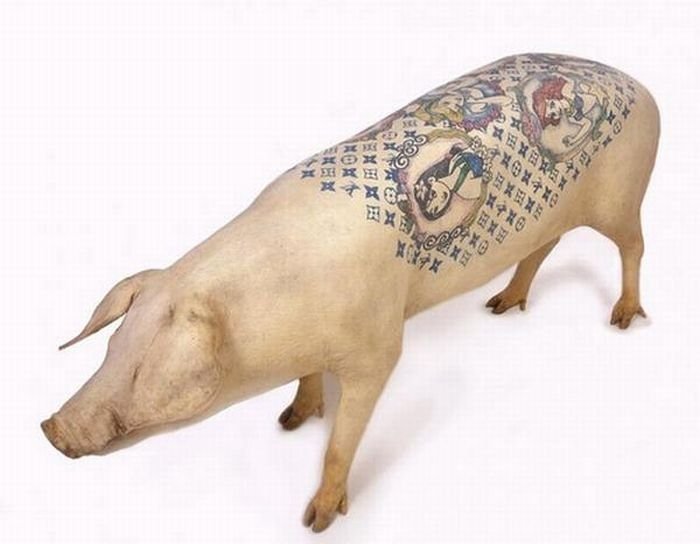 Tattooing pigs by Wim Delvoye