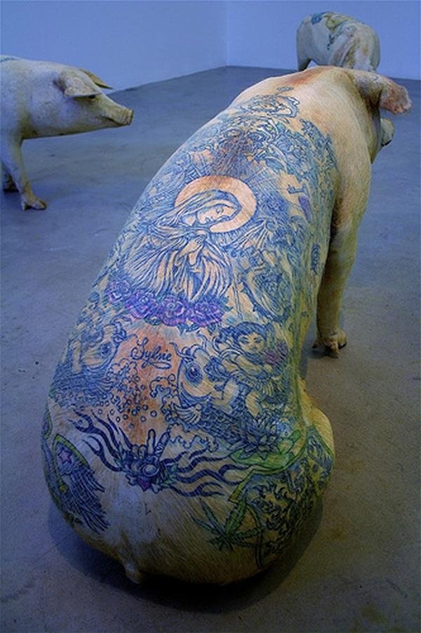 Tattooing pigs by Wim Delvoye