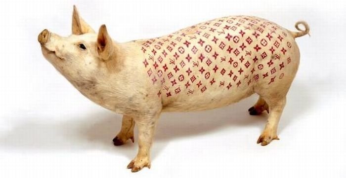 Tattooing pigs by Wim Delvoye