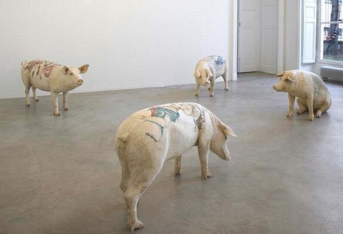 Tattooing pigs by Wim Delvoye