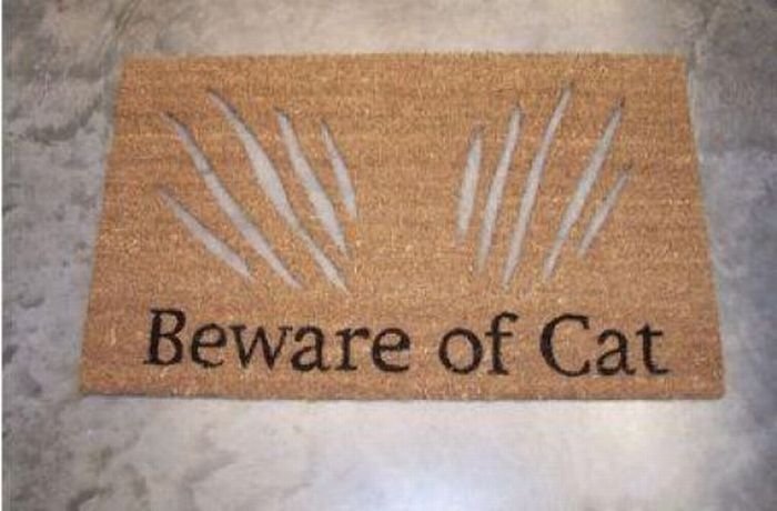 house entrance doormat