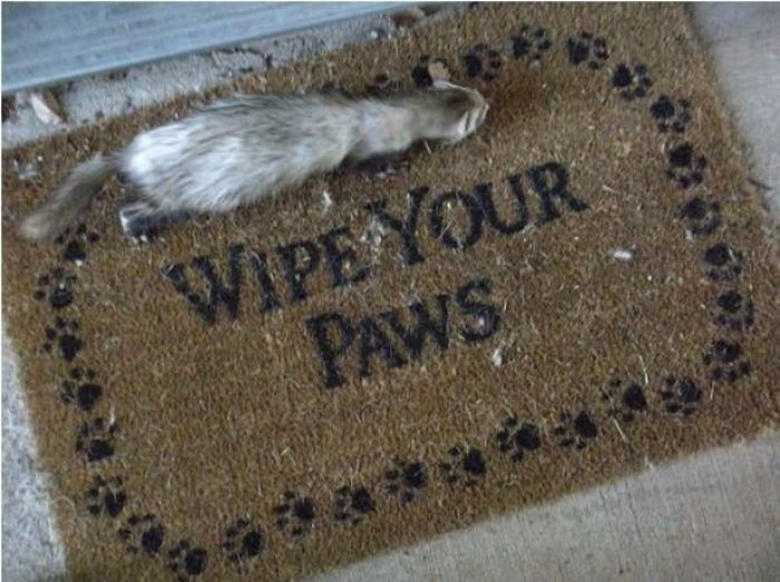 house entrance doormat
