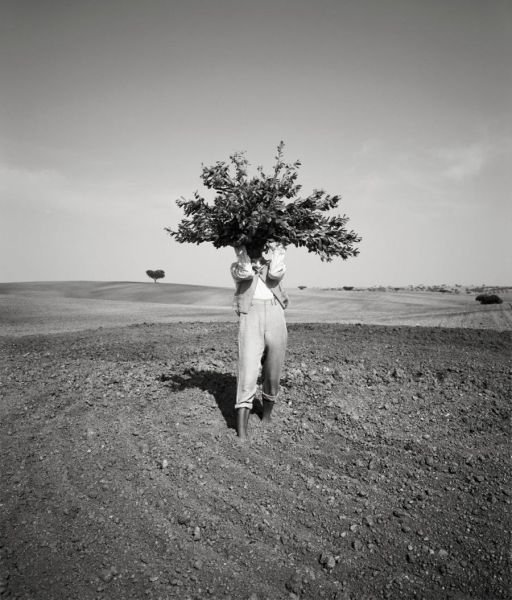 Photographs by Geof Kern