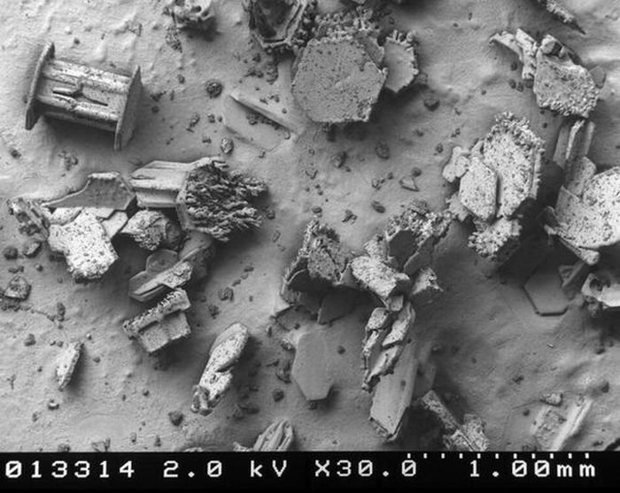 snowflakes under microscope