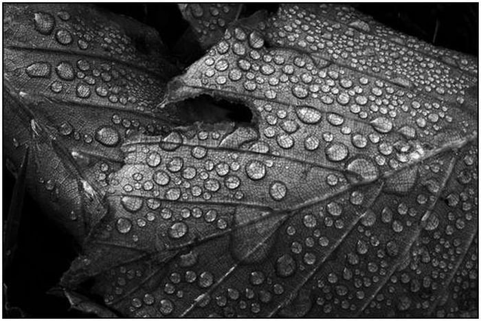 rain photography