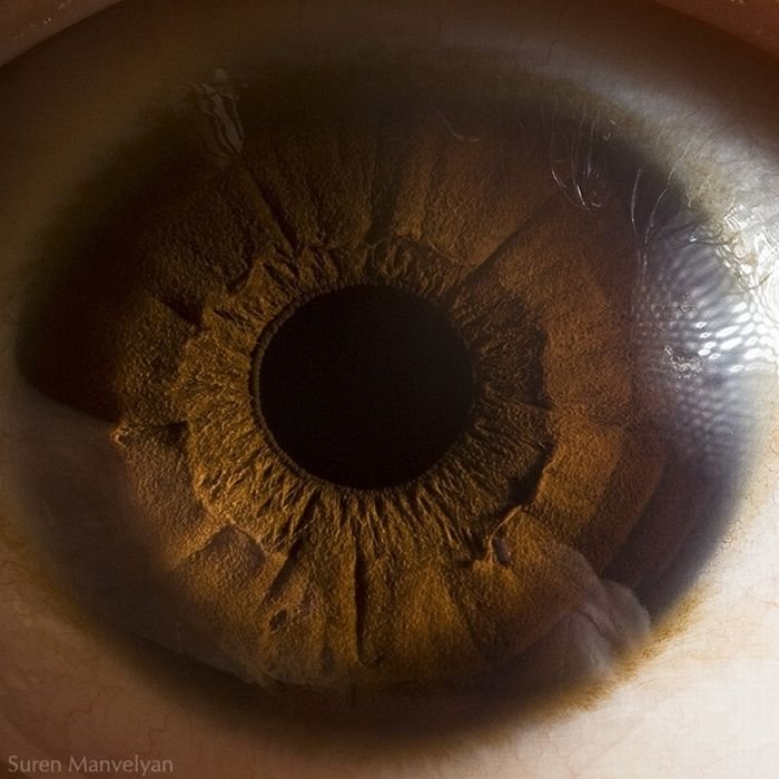 Macro eye by Suren Manvelyan