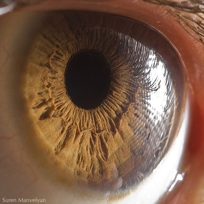 Macro eye by Suren Manvelyan