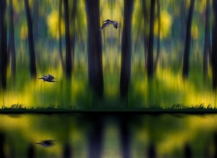 Photo manipulation by Peter Holme III