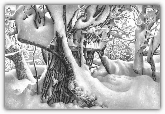 winter pencil drawing