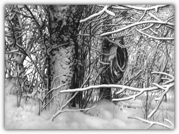 winter pencil drawing