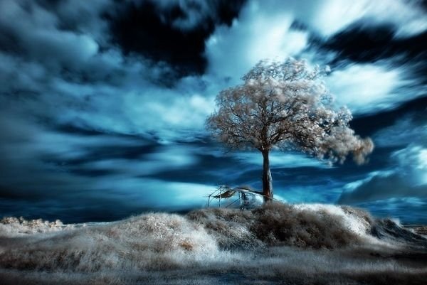 infrared photography