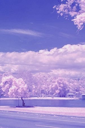 infrared photography