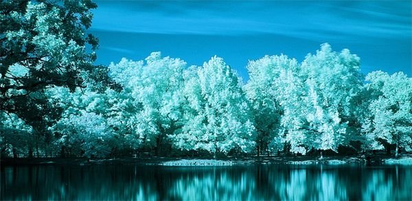 infrared photography