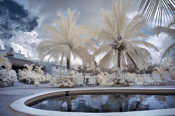 infrared photography