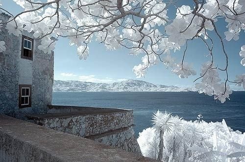 infrared photography