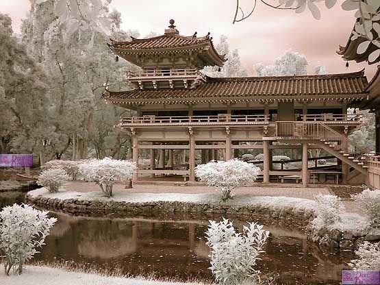 infrared photography