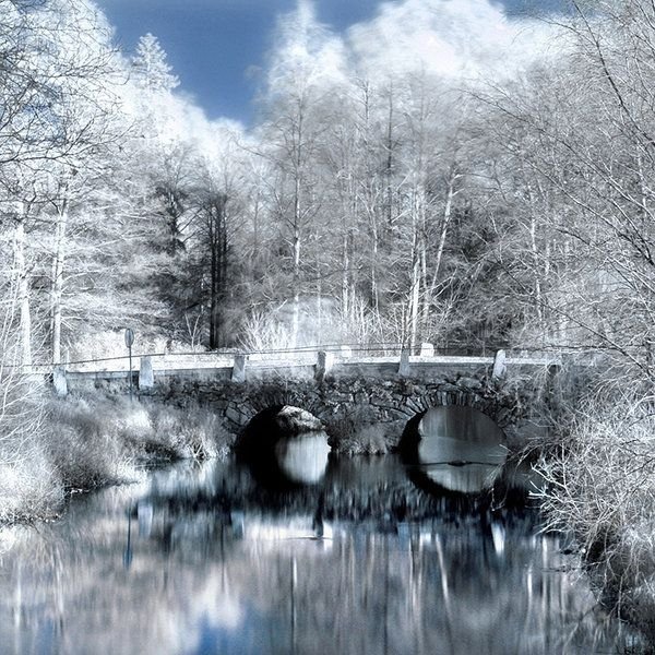 infrared photography