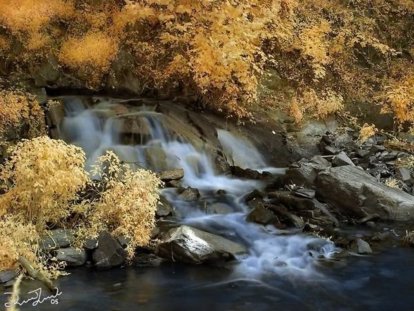 infrared photography