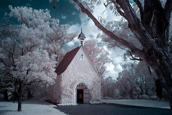 infrared photography