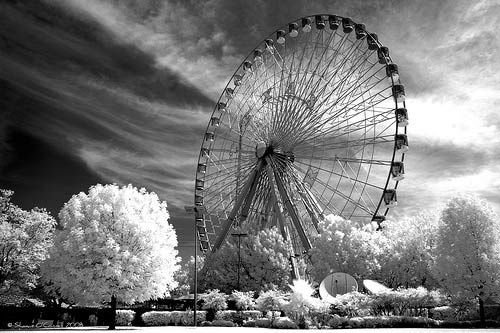 infrared photography