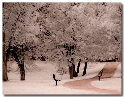 infrared photography