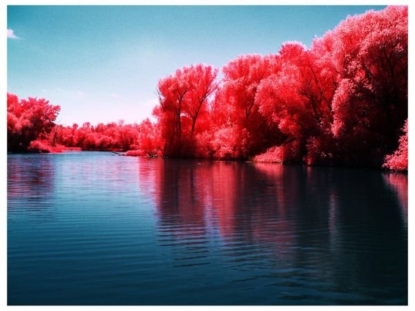 infrared photography