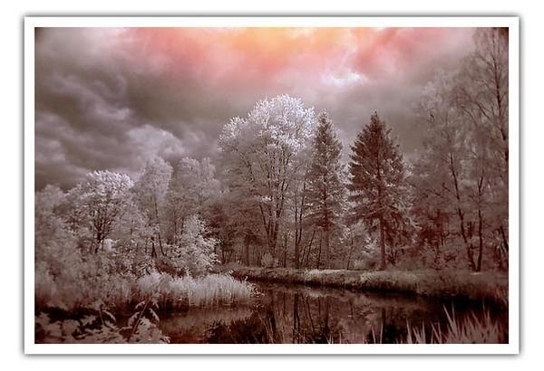 infrared photography