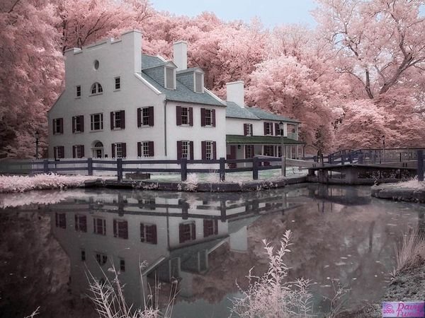 infrared photography