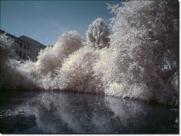 infrared photography