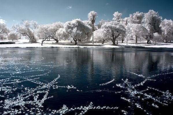 infrared photography