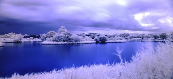 infrared photography