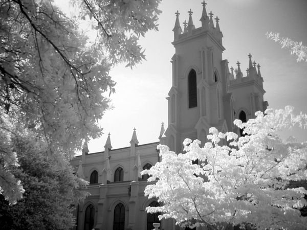 infrared photography