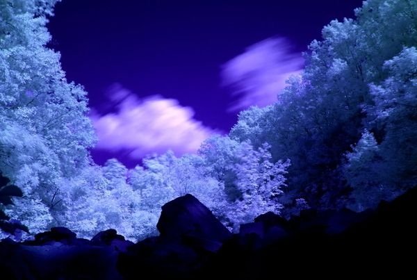 infrared photography