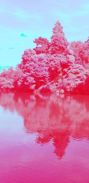 infrared photography