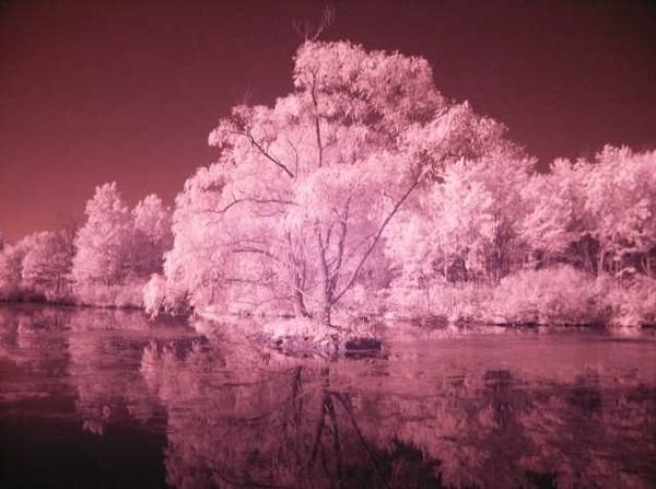 infrared photography