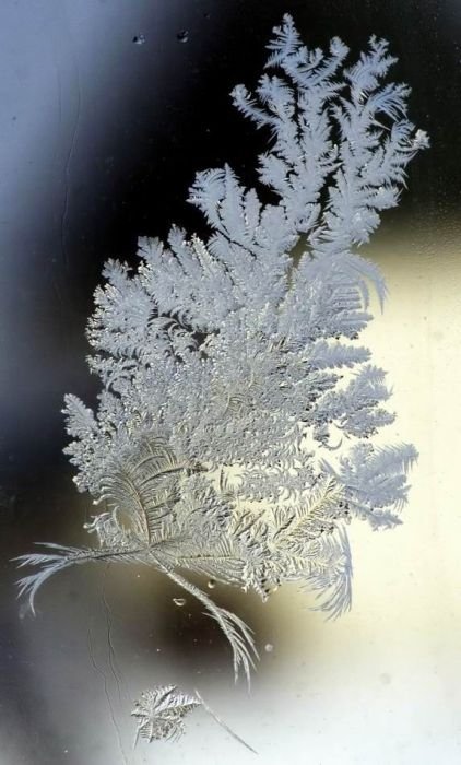 snowflakes art