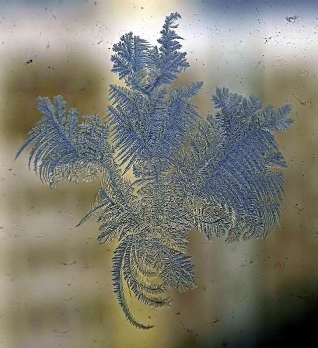 snowflakes art