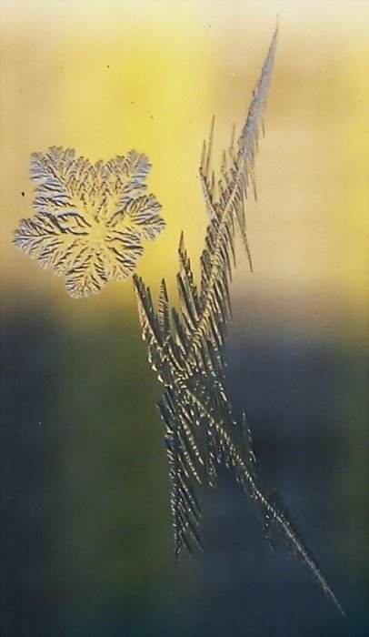 snowflakes art