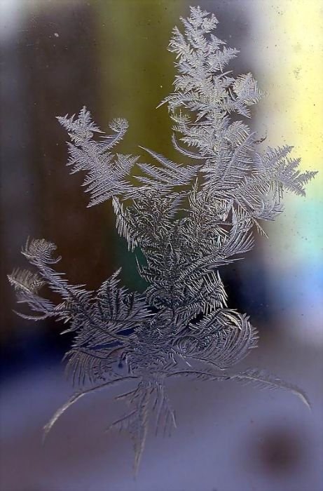 snowflakes art