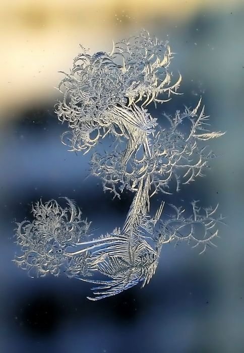 snowflakes art