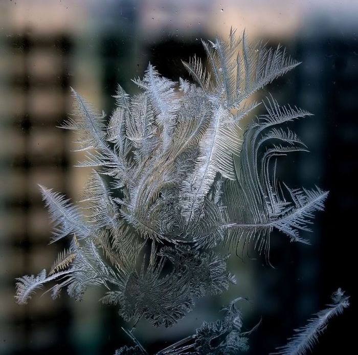 snowflakes art