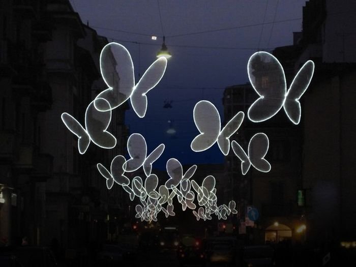 Light Butterflies by Chiara Lampugnan